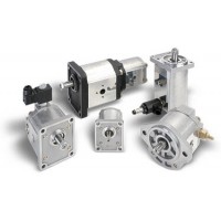 Moteur à engrenages PLM20.6,3D0-82E2-LEA/EA-N-EL-VPIF(80)-AV019992JV Casappa